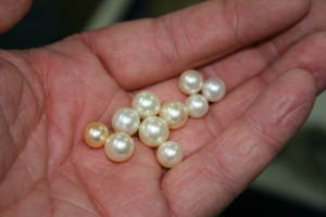 A Classic Look: The Beauty of Pearls